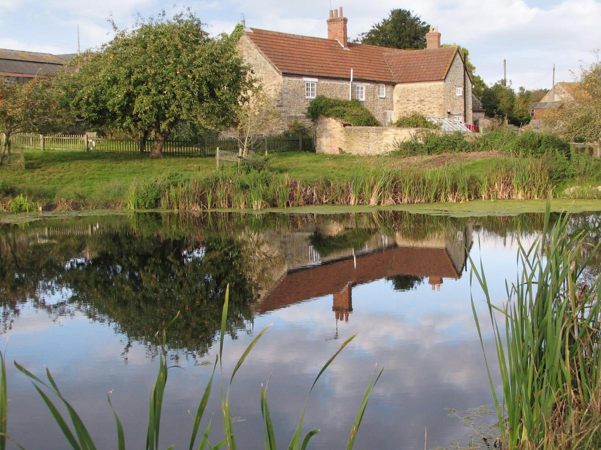 Old Orchard Cottage Haydon Exteriér fotografie